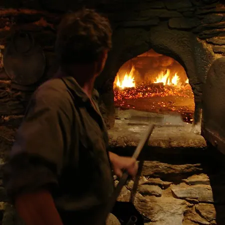 Mas La Donzelenche Vakantiehuis