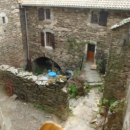 Vakantiehuis Mas La Donzelenche *