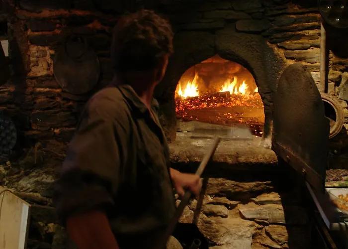 Mas La Donzelenche Tatil Evi