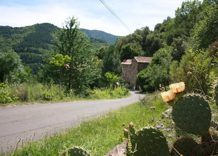 Mas La Donzelenche Vialas