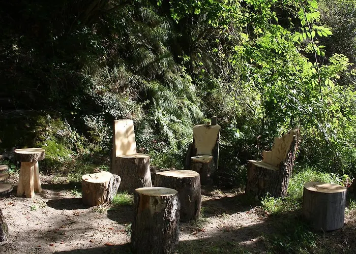 Mas La Donzelenche *