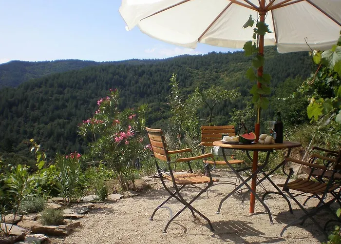 Mas La Donzelenche Tatil Evi Vialas